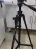 伟峰（WEIFENG）WT-3520 数码相机/微单反脚架 铝合金轻便三脚架 摄影摄像手机自拍直播户外投影仪支架 实拍图