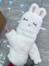 柳欣 手套女秋冬季可爱兔子翻盖半指露指加厚防寒保暖手套学生日礼物 白色 均码 实拍图