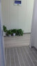 双盟绿萝盆栽除甲醛花卉绿植办公室新房净化空气180加仑4盆装源头直发 实拍图