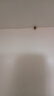 旺府美居【包安装】衣柜木家具卧室平开门简约组合多门储物收纳大衣橱柜子 80*180*50主柜【两门】 实拍图