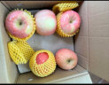 京鲜生 陕西洛川红富士苹果 净重5kg 单果200-260g 新鲜水果 晒单实拍图