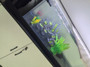 德克（D&A）溪流缸客厅桌面鱼缸全套一体缸自循环免换水小型造景侧滤生态鱼缸 北溪1号-黑（架灯款） 121.2x31.2x32cm 实拍图