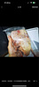 果鲜岛 鸽子乳鸽生鲜 三年老鸽子 冷冻新鲜鸽子肉农家土鸽子现杀鸽子 乳鸽3只【每只约300g】 实拍图