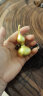 铜师傅 《大吉大利葫芦（真金表面）小号》黄铜挂件铜葫芦 礼物 晒单实拍图