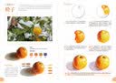 水彩画自学入门教程（零基础学水彩，发现生活之美） 实拍图