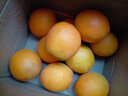 探味君 江西夏橙 应当季时令手剥冰糖甜橙子新鲜水果整箱 净重8.5-8.99斤 单果80mm-85mm 实拍图