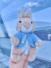 比得兔（Peter Rabbit）英国经典童话挂件钥匙扣彼得兔毛绒玩具娃娃兔子玩偶挂件生日礼物 比得兔挂件 15厘米 实拍图
