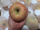 果当爱 烟台红富士苹果 净重5斤礼盒单果200g以上 80mm新鲜水果源头直发 晒单实拍图