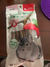 Jolly祖莉 龙猫磨牙苹果树枝咬木枝小宠零食荷兰猪兔子仓鼠 磨牙 实拍图
