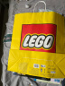 乐高（LEGO）积木拼装机械组系列42154福特GT不可遥控男孩玩具520情人节礼物 实拍图