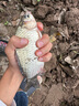 川泽鱼漂高灵敏鲫鱼漂醒目加粗浮漂野钓抗风浪细尾鱼漂小碎目竞技浮标 NA-05细尾轻口鲫鲤 吃铅1.3-1.9g 2号 实拍图