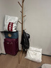 镜月斋实木衣帽架落地卧室衣家用室内立式置衣架结实耐用简易客厅挂衣架 【圆盘款】进口榉木-胡桃色 实拍图