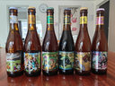 藏式爱尔香格里拉精酿青稞啤酒胖卓玛IPA艾尔松嘎藏式艾尔高度精酿啤酒 全系列 330mL 24瓶 组合装 实拍图