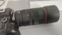 佳能（CANON） RF全画幅/半画幅微单镜头 R8 R50 R7 R10 R5 R62 R系列镜头 中远摄微距RF100 F2.8 L MACRO百微 实拍图