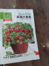 花翁 矮生盆栽番茄种子2克/袋约1千粒 樱桃小西红柿圣女果 实拍图
