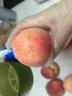 橙市码头澳洲进口水蜜桃【多地次日达】高端孕妇水果年货节日礼品盒送礼 商超A级果6粒装【单果150g+ 精美礼盒】 实拍图