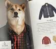 柴犬绅士：都市型男穿搭指南（新版） 实拍图