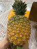 沃鲜谷【顺丰】芒果凤梨 树上熟 非金钻凤梨菠萝  香甜多汁 新鲜水果 4-4.5斤 大果2个 实拍图