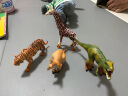 贝可麦拉（beikemaila）【精选】儿童仿真恐龙动物玩具模型早教认知过家家生日礼物男女孩 雷克萨暴龙 实拍图