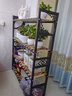 金羡花架子阳台实木花盆架客厅落地多层家用绿萝多肉带轮子花架置物架 四层长120宽30高145黑架+碳烤木 实拍图