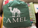 骆驼（CAMEL）户外吊床防侧翻旅游露营便携秋千宿舍寝室学生吊椅室内懒人椅 A1S3LU102 墨绿/果绿 实拍图