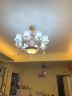 安灯堡客厅吊灯现代简约欧式卧室2024款餐厅书房两用水晶灯饰具套餐702 8头+三色变光LED灯 实拍图