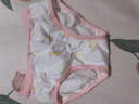 全棉时代儿童内裤纯棉透气中大童女孩短裤平角裤无荧光内衣童装 2件装 (女童三角)粉底云朵+云朵彩虹 2条 110cm 实拍图