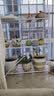 蜗家（WOJIA）花架子客厅阳台置物架户外落地多层铁艺花盆架壁挂式多肉架层架 Z6304白色 实拍图