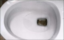 楚婕雅高浓度草酸清洁剂 厕所瓷砖清洁剂开荒保洁去水泥强力去污洁厕液 实拍图