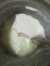 优比特（77菌）酸奶自制发酵菌益生菌酸奶粉10g 实拍图