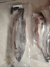 尚致鲈鱼鲜活冷冻青岛海鲈鱼花鲈鱼七星鲈鱼深海鱼新鲜海鱼 【2条】海鲈鱼2斤/条 实拍图