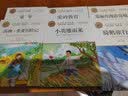 快乐读书吧六年级上（全3册）小英雄雨来+童年+爱的教育 名师教你读经典系列 6年级上册推荐阅读书目 书香鲁韵六年级 实拍图