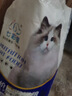 七彩缦七彩缦冻干猫粮5斤2.5kg宠物幼猫成猫全阶段流浪20猫咪主粮深海鱼 果蔬双拼鱼味猫粮5斤 实拍图