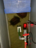 SUNSUN森森鱼缸龟缸低水位加热棒BH-200款200W自动恒温离水断电超温保护 实拍图