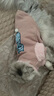 华元宠具（hoopet）猫咪衣服防掉毛幼猫小猫宠物德文猫猫冬季毛衣秋冬无毛猫保暖外套 三只猫2脚小外套（粉） L:胸围40-45cm（建议约7-10斤） 实拍图