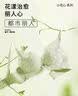都市丽人26新款内衣女乳罩性感蕾丝文胸软钢圈薄款透气小胸聚拢胸罩2B25AB 实拍图