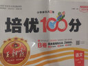 王朝霞培优100分二年级语文下册人教版 小学语文同步试卷AB卷下册培优达标卷单元过关检测卷期中期末考试卷名师教你冲刺100分必刷题必刷卷天天练 2024 实拍图