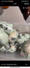 熊猫有礼海鸭蛋北部湾咸鸭蛋礼盒装70g*15枚红心流油即食团购礼品 实拍图