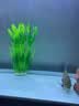 异景园鱼缸水族箱装饰仿真水草水族造景套餐假水草装饰塑料高款大水草绿 CL14新-大海带【绿色】 实拍图