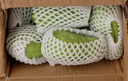 蔬果哆 新鲜蔬菜 云南特产 佛手瓜 嫩瓜 捧瓜窝瓜 2.5kg(一箱五斤) 实拍图