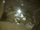 草鱼苗 【京东配送】草鱼苗特大规格半斤一斤草鱼活鱼苗批发淡水养殖食用活体 4-5厘米草鱼苗【2送1】 实拍图