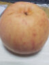 山西运城当季红富士苹果临猗冰糖心红富士苹果精品红富士脆甜苹果 净重4250g  80-85 精品 18个装 晒单实拍图