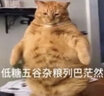 MACEY美洗公路车山地自行车清洗剂牙盘飞轮链条保养清洁剂去油渍套装 起点线飞轮链条清洗剂 实拍图
