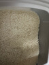 松林 2023新米上海松江大米5kg10斤装圆粒米香米绿色金奖大米晚稻 实拍图