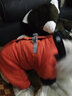 SLPC狗狗衣服冬天保暖中小型犬加厚四脚狗棉衣泰迪柯基小狗幼犬冲锋衣 橙 2XL（适合约16-20斤） 实拍图