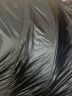 黑冰（BLACKICE） 【B系列鸭绒木乃伊式羽绒睡袋】户外露营单人羽绒睡袋 黑色 B1500 M码 实拍图