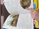 尼尔斯骑鹅旅行记 彩图注音版 一二三年级课外阅读书必读世界经典文学少儿名著儿童文学童话故事书 实拍图
