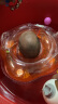 马博士（DOCTOR MA）婴儿游泳圈脖圈新生宝宝颈圈可调节防后仰儿童加厚双气囊洗澡玩具 一体脖圈M（1-6月 4-8.5公斤） 实拍图