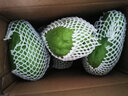 蔬果哆 新鲜蔬菜 云南特产 佛手瓜 嫩瓜 捧瓜窝瓜 2.5kg(一箱五斤) 实拍图