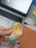 千丝绿豆饼传统糕点办公室糕点心休闲早餐中式零食小吃速食 400g【约11个】绿豆饼 实拍图